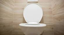 toilet-seat