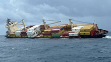 msc-elsa-3