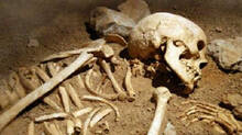 skeleton