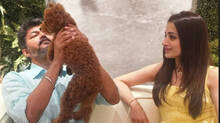 vijay-and-trisha