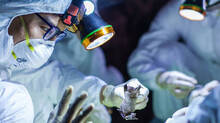 pandemic
