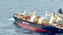 msc-elsa-3