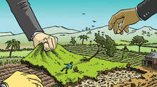 land-fraud