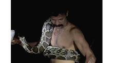 python