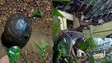 bomb-explosion-kannur-