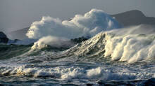 sea-
