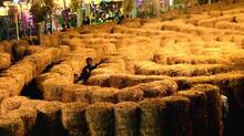 maze-game-