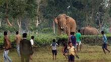 wildlife-thiruvananthapur