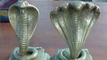 naga-idols