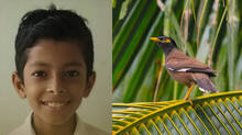 myna-