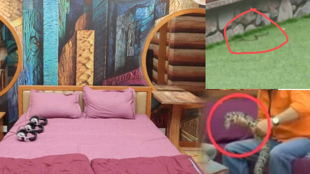 bigg-boss