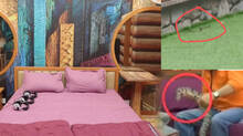 bigg-boss