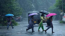 rain