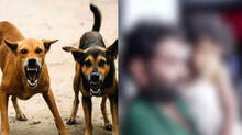 dog-attack-paravur-kochi