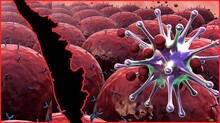 cancer-risk