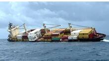msc-elsa-3