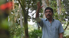 sreenivasan