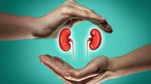 organ-donation