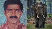 rejeev