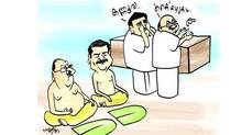 congress