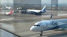 indigo-