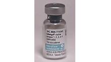 dengue-vaccine
