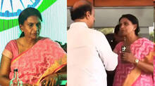 r-sreelekha-