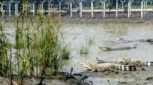 india-bangladesh-border-