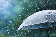 summer-rain