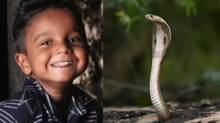 snake