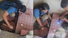 snake-found-in-vithura-ta