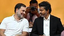 vijay