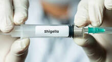 shigella