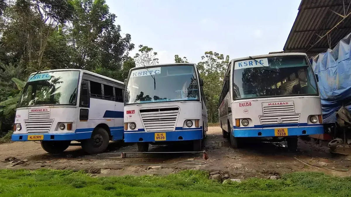 free-bus-travel-women free-bus-travel-women