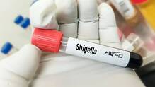 shigella
