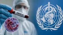 ebola