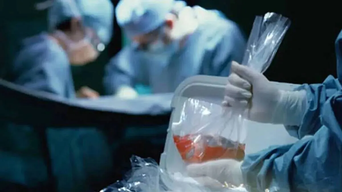 organ-trafficking