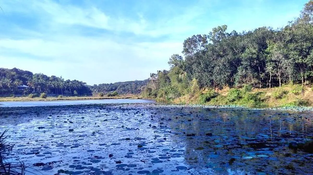 rivers- rivers-