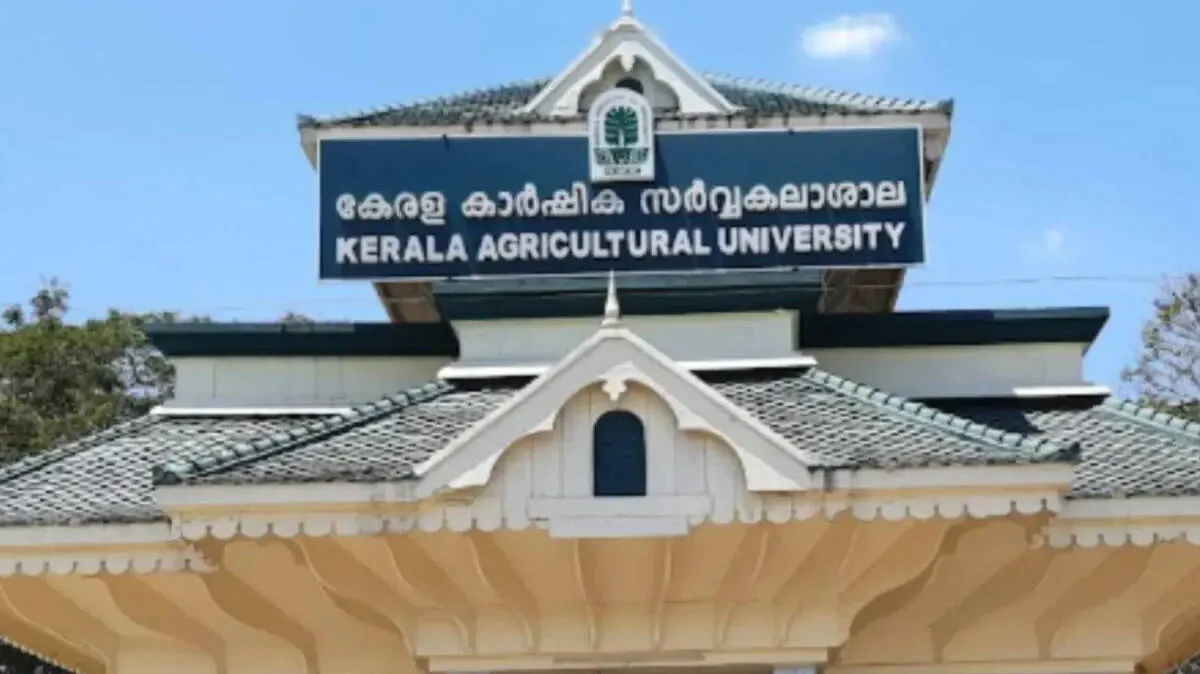 kau