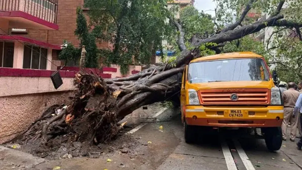 tree-falls-on-school-bus