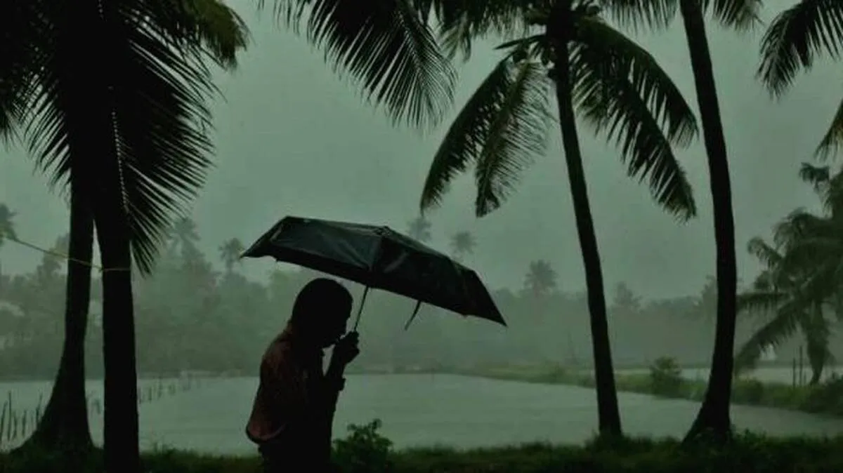 rain