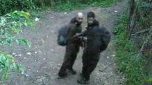 terrorists