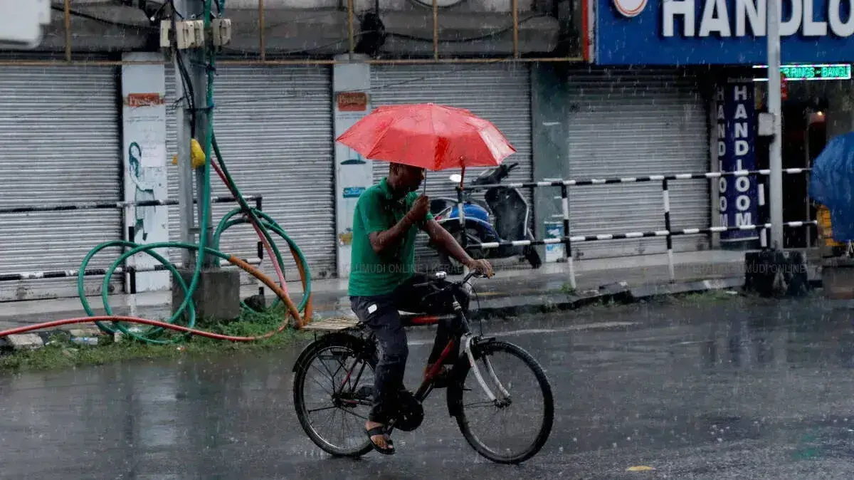 rain