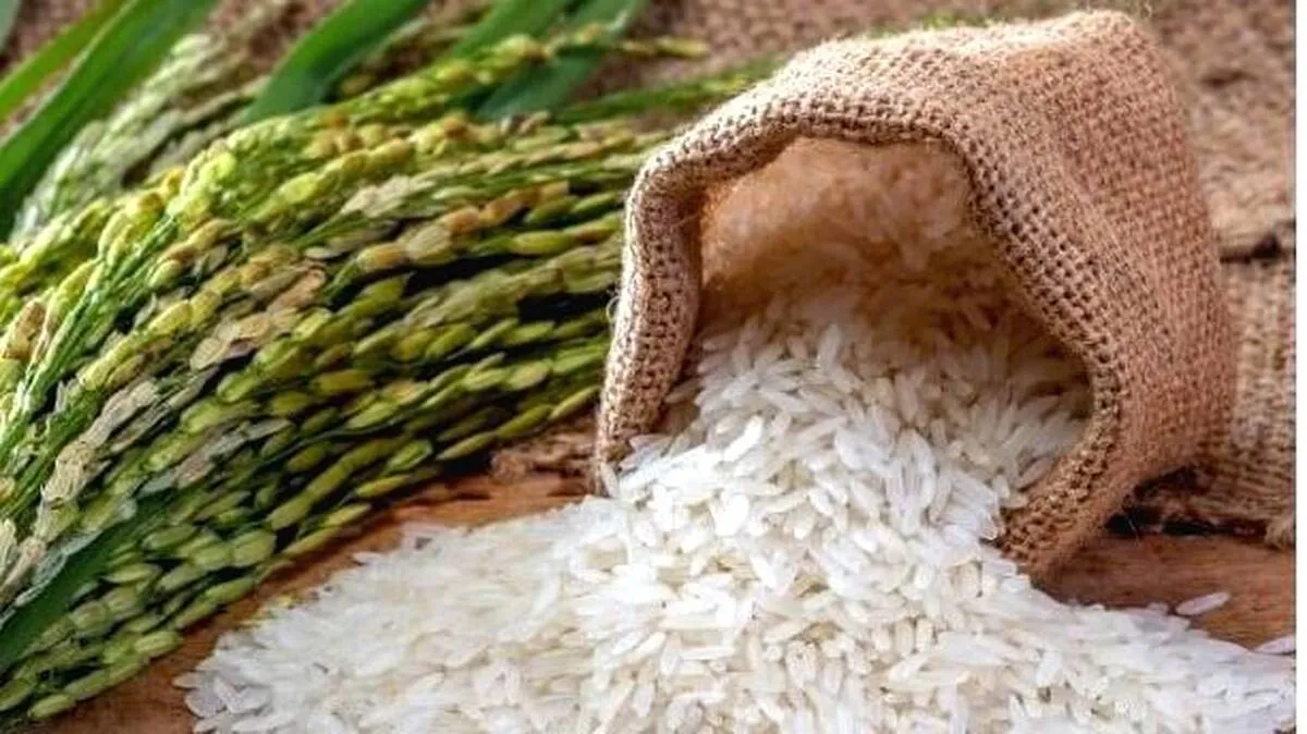 rice rice