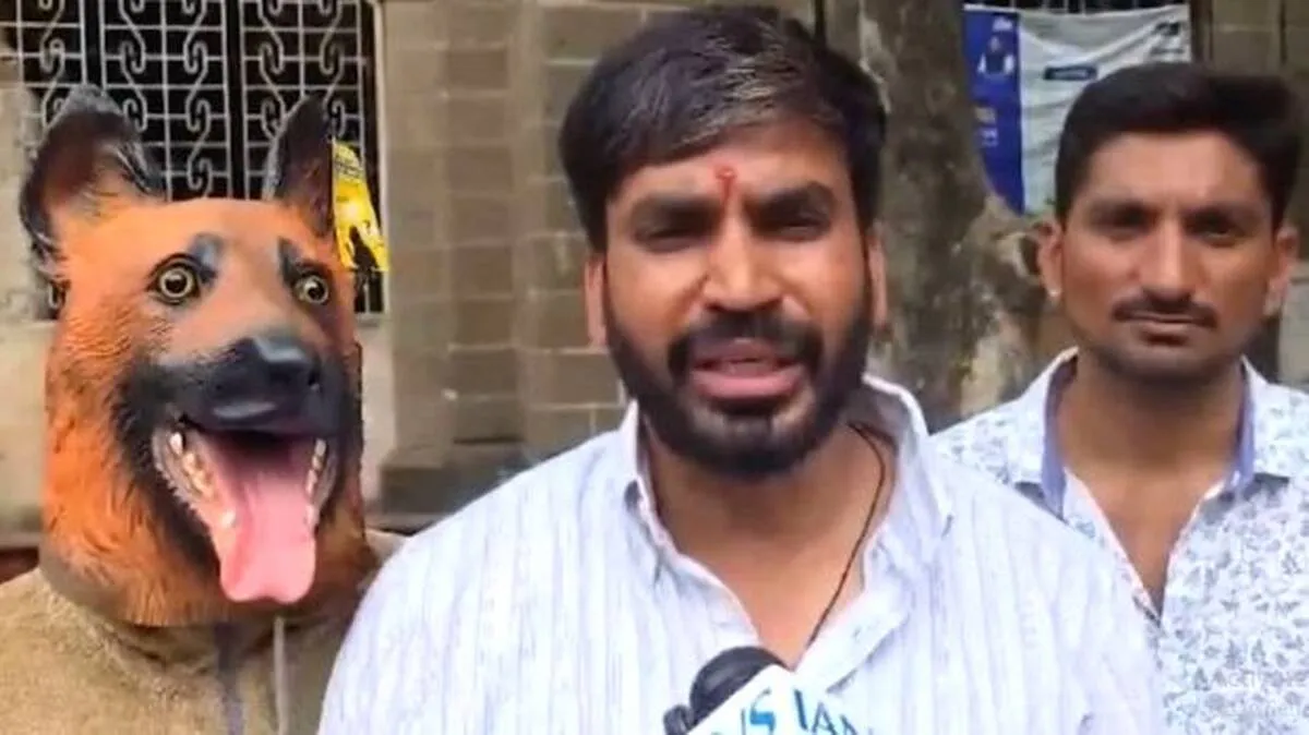 street-dog-menace street-dog-menace