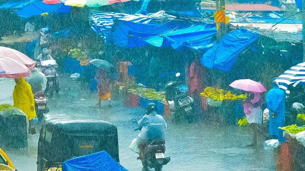 rain