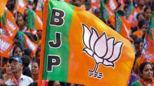 bjp-flag