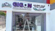 gigon-