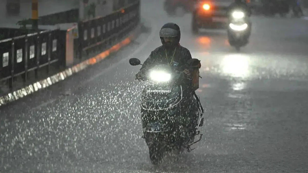 rainfall