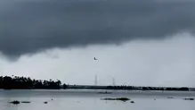 rain